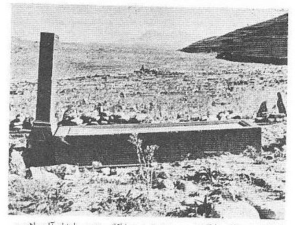 فبر سلطان اویس
